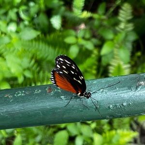 Meet your Posher, Edith